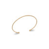 Load image into Gallery viewer, Mystigrey Margot R1 18K Gold Plated Bangle for Women 56cm