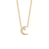 Load image into Gallery viewer, Mystigrey Moon Crescent 18K Gold Plated Necklace Cubic Zirconia