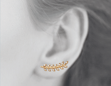 Load image into Gallery viewer, Mystigrey Eden .925 Sterling Silver Plated Rhodium, 18K Rose Gold Plated and 18K Gold Plated Climber Earrings for Women with Cubic Zirconia