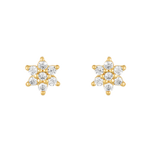 Load image into Gallery viewer, Mystigrey Polaris .925 Sterling Silver Plated Rhodium and 18K Gold Plated Star SnowFlakes Earrings for Women with Cubic Zirconia