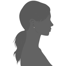 Load image into Gallery viewer, Mystigrey Polaris .925 Sterling Silver Plated Rhodium and 18K Gold Plated Star SnowFlakes Earrings for Women with Cubic Zirconia