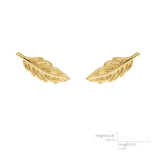 Load image into Gallery viewer, Mystigrey Ariel Feather .925 Sterling Silver Plated Rhodium and 18K Gold Plated Earrings