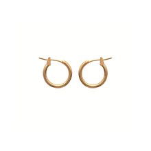 Load image into Gallery viewer, Mysti 18K Gold Plated Earrings for Women