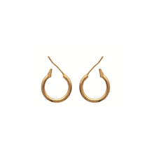 Load image into Gallery viewer, Mysti 18K Gold Plated Earrings for Women