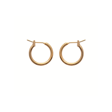 Load image into Gallery viewer, Mysti 18K Gold Plated Earrings for Women