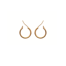 Load image into Gallery viewer, Mysti 18K Gold Plated Earrings for Women