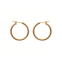 Load image into Gallery viewer, Mysti 18K Gold Plated Earrings for Women