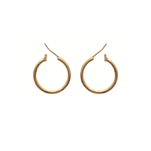 Load image into Gallery viewer, Mysti 18K Gold Plated Earrings for Women