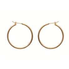 Load image into Gallery viewer, Mysti 18K Gold Plated Earrings for Women