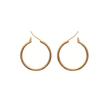 Load image into Gallery viewer, Mysti 18K Gold Plated Earrings for Women