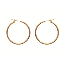 Load image into Gallery viewer, Mysti 18K Gold Plated Earrings for Women