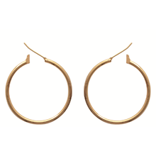 Load image into Gallery viewer, Mysti 18K Gold Plated Earrings for Women