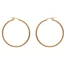 Load image into Gallery viewer, Mysti 18K Gold Plated Earrings for Women