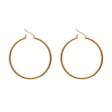 Load image into Gallery viewer, Mysti 18K Gold Plated Earrings for Women