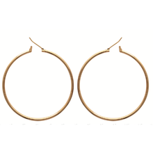 Load image into Gallery viewer, Mysti 18K Gold Plated Earrings for Women