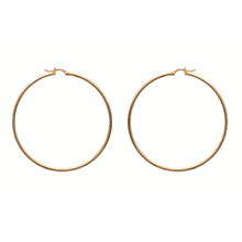 Load image into Gallery viewer, Mysti 18K Gold Plated Earrings for Women