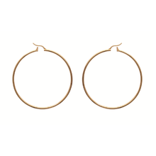 Load image into Gallery viewer, Mysti 18K Gold Plated Earrings for Women