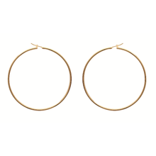 Load image into Gallery viewer, Mysti 18K Gold Plated Earrings for Women
