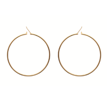 Load image into Gallery viewer, Mysti 18K Gold Plated Earrings for Women