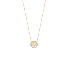 Load image into Gallery viewer, Mystigrey Mael .925 Sterling Silver Plated Rhodium and 18K Gold Plated Necklace for Women with Cubic Zirconia