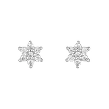 Load image into Gallery viewer, Mystigrey Polaris .925 Sterling Silver Plated Rhodium and 18K Gold Plated Star SnowFlakes Earrings for Women with Cubic Zirconia