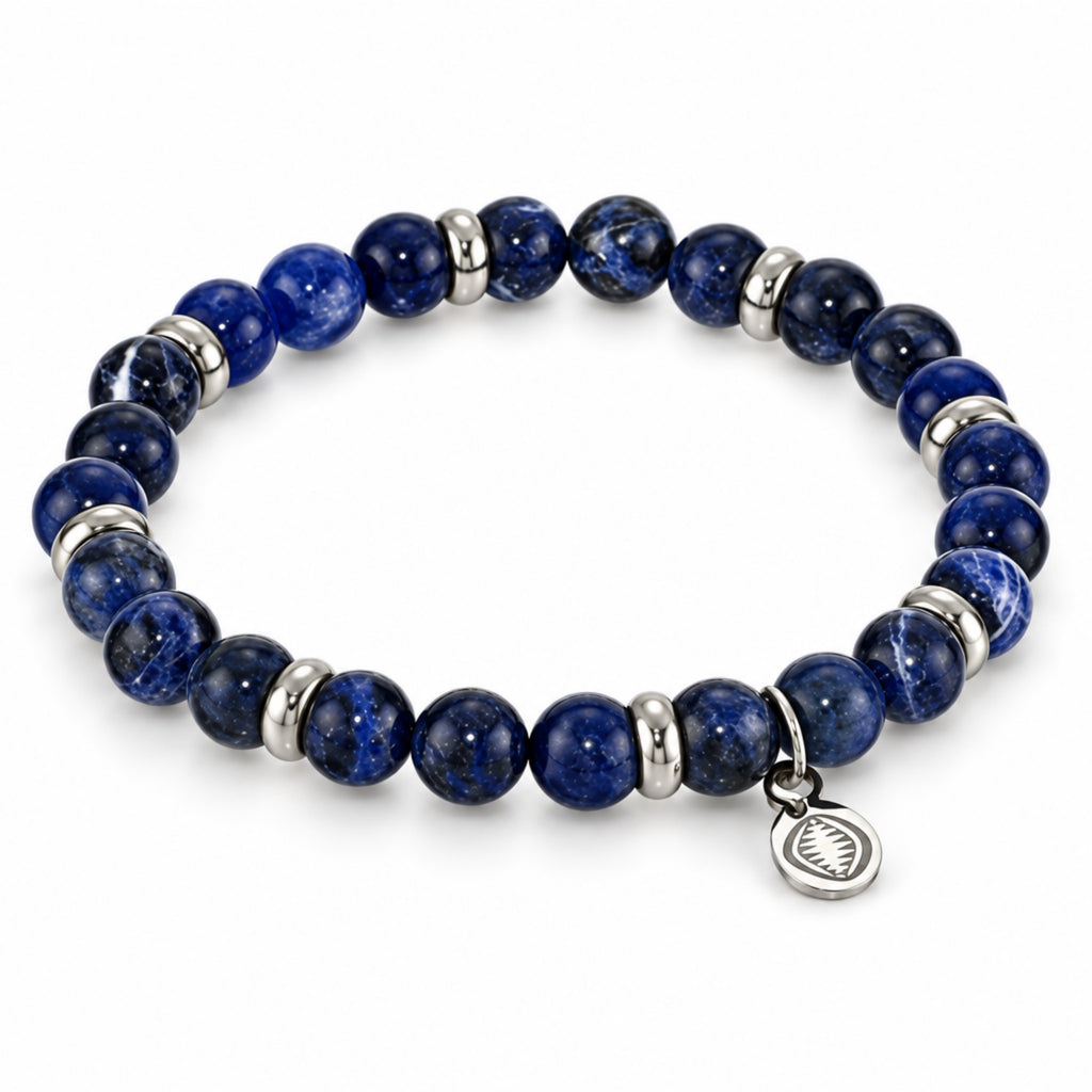 Men's Rio Blue Sodalite Jasper Bead Bracelet, Large in Stainless Steel
