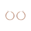 Roseline Earrings in 18K Gold Plated