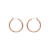 Load image into Gallery viewer, Mystigrey Roseline 18K Rose Gold Plated Earrings for Women 1 inch x 1 inch
