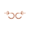 Elizabeth Rose Hoop Earrings in 18K Gold Plated, view 2