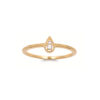 Amelia .925 Sterling Silver Plated Rhodium and 18k Gold Plated Ring Cubic Zirconia