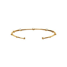 Load image into Gallery viewer, Mystigrey Clover 18K Gold Plated Bangle for Women with cubic zirconia
