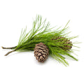 Mystigrey Soy Candle Balsam and Cedar
