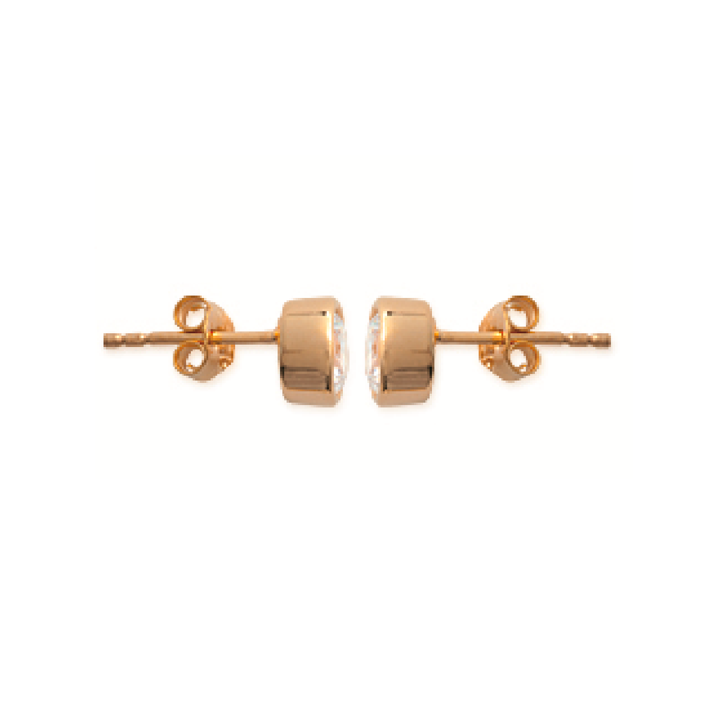 Mysti 18K Gold Plated Earrings for Women with Cubic Zirconia