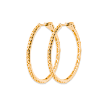Load image into Gallery viewer, Mystigrey Ella 18K Gold Plated Earrings for Women
