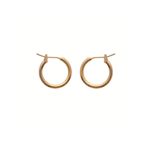 Load image into Gallery viewer, Mysti 18K Gold Plated Earrings for Women
