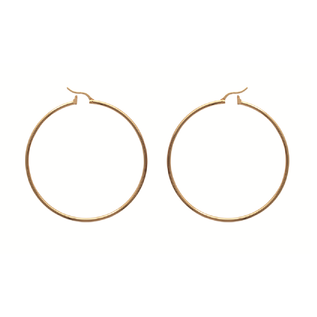 Mysti 18K Gold Plated Earrings for Women