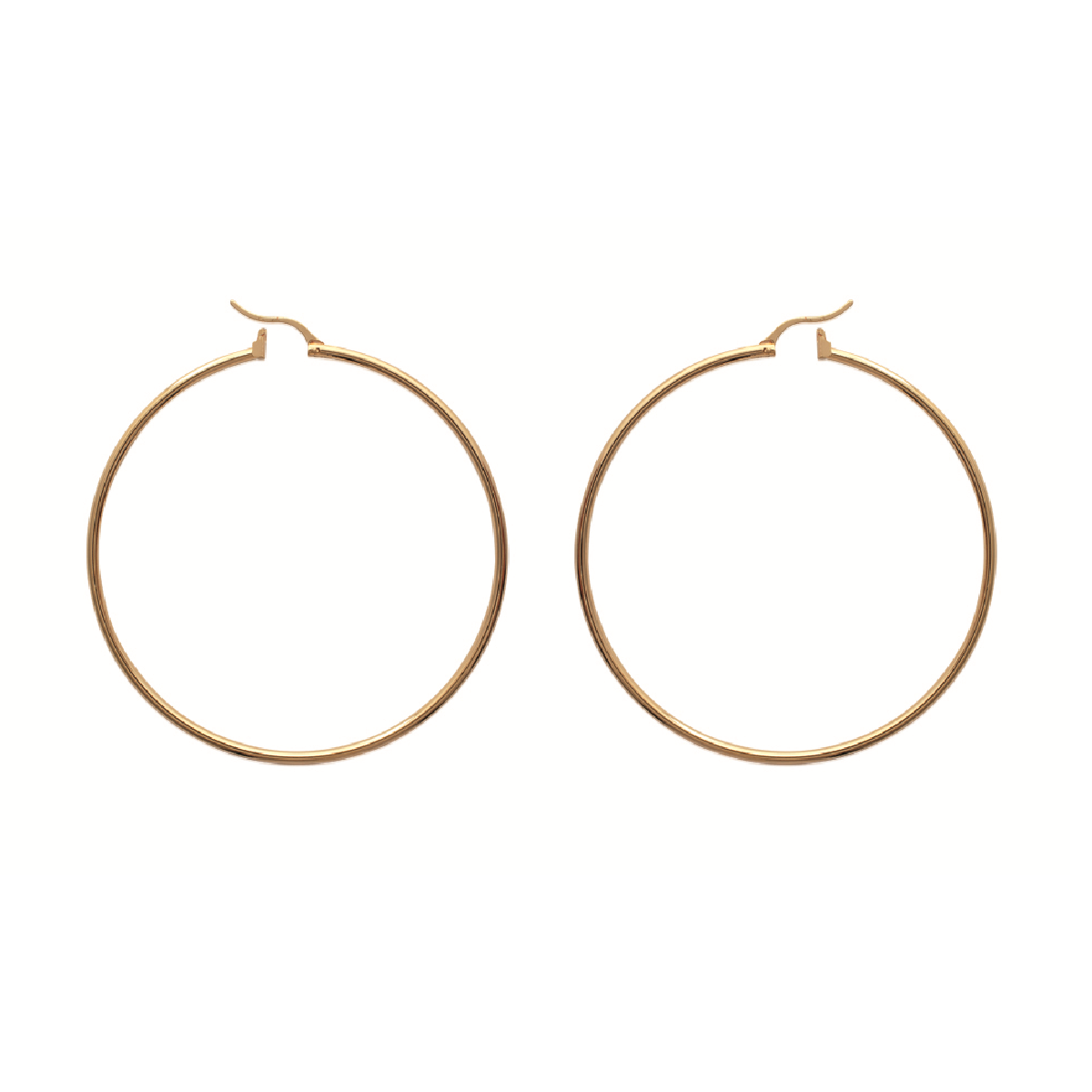 Mysti 18K Gold Plated Earrings for Women