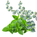 Mystigrey Soy Candle Eucalyptus Spearmint