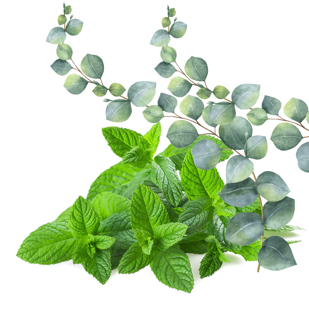 Mystigrey Soy Candle Eucalyptus Spearmint