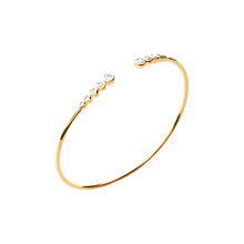 Load image into Gallery viewer, Mystigrey Elizabeth .925 Sterling Silver Plated Rhodium and 18K Gold Plated and 18K Rose Gold Plated Bangle for Women  with Cubic Zirconia
