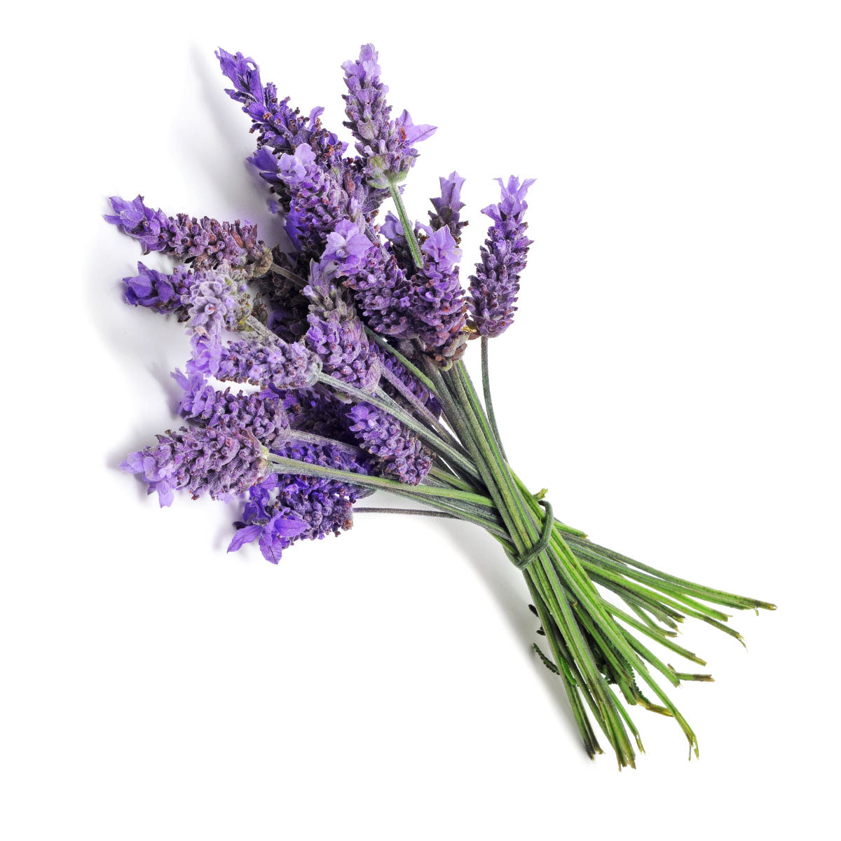 Mystigrey Soy Candle Lavender Fragrance