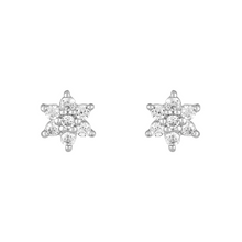 Load image into Gallery viewer, Mystigrey Polaris .925 Sterling Silver Plated Rhodium and 18K Gold Plated Star SnowFlakes Earrings for Women with Cubic Zirconia
