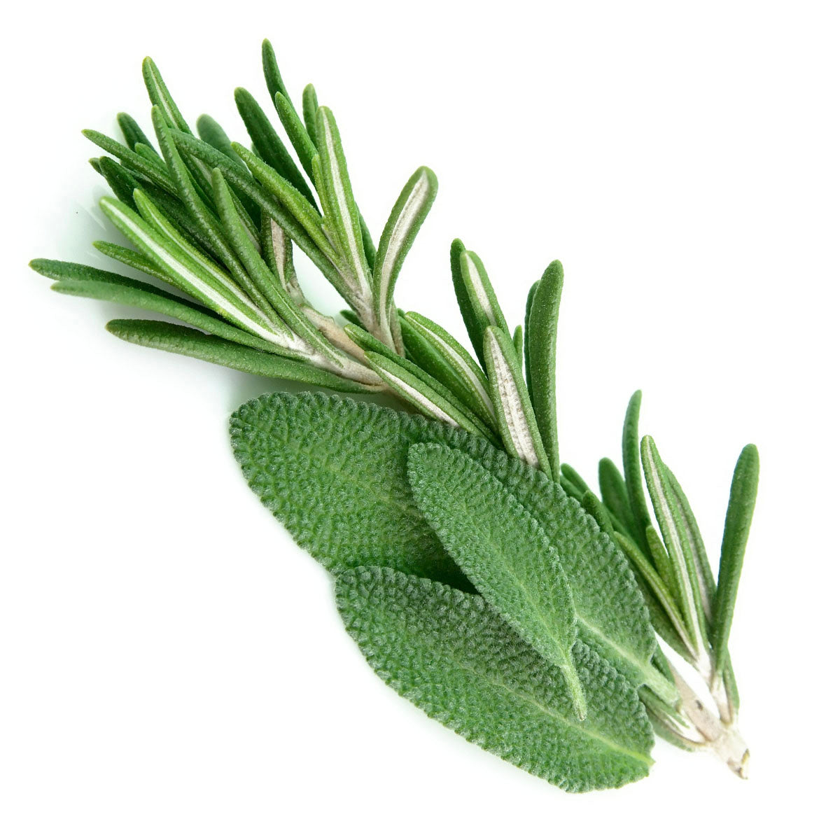 Mystigrey Soy Candle Rosemary Sage