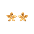 Leilani Flower Stud Earrings in 18K Gold Plated