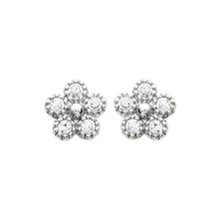 Load image into Gallery viewer, Mystigrey Flore .925 Sterling Silver Plated Rhodium and 18K Gold Plated Stud Flower Earrings for Women with Cubic Zirconia
